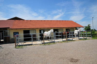 Vierer Stall 2