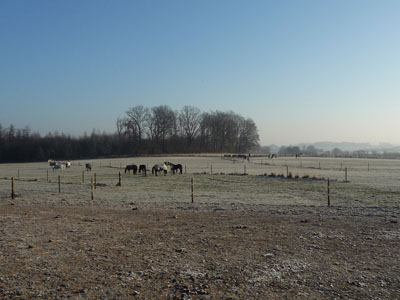 Winterkoppel
