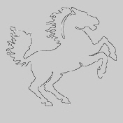 pferd neu inkl Hintergrund