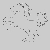 pferd neu inkl Hintergrund